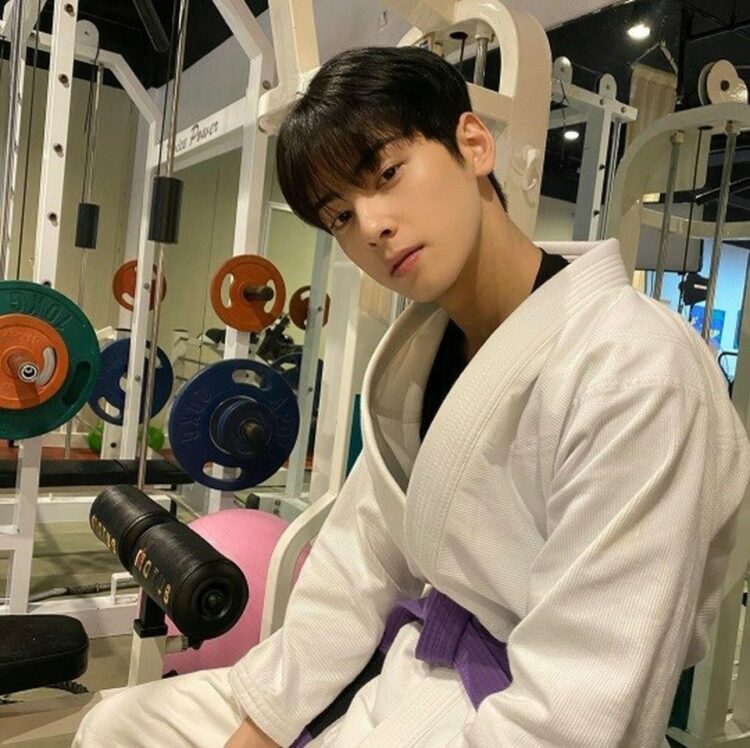 Astro Cha Eun Woo Una Belleza Escultural Que Puede Hacer Incluso Gracie Jiu Jitsu No Es Eso